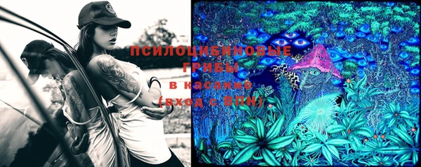мяу мяу кристалл Алексин